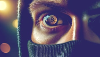 Rise in Crypto Scams Amid Bitcoin Craze