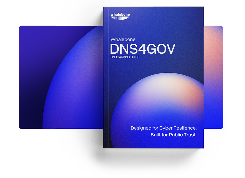 mockup-dns4gov-onboarding-825x600 mockup-dns4gov-onboarding-825x600