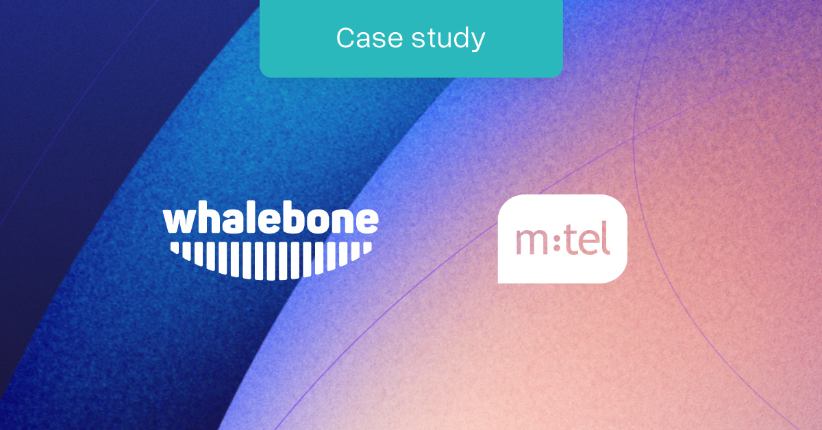 Mtel Montenegro - Aura Infrastructure| Whalebone