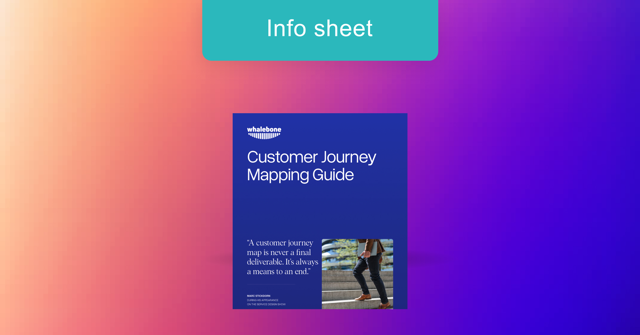 Customer Journey Mapping Guide | Whalebone